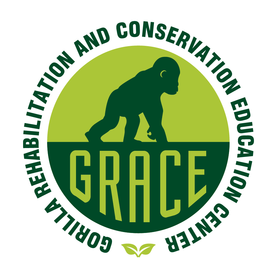GRACE_logo_Green.png
